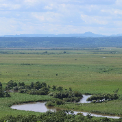 釧路湿原の写真